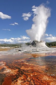 220px-Yellowstone_Castle_Geysir_Edit[1]